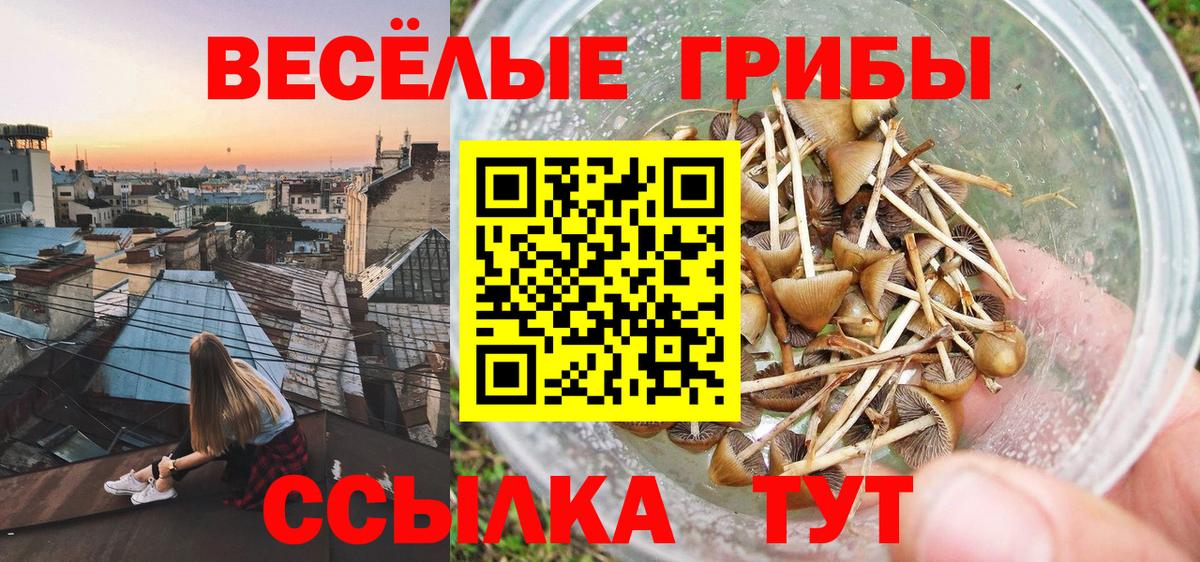 Галлюциногенные грибы Magic Shrooms  Вход с VPN  Апрелевка 