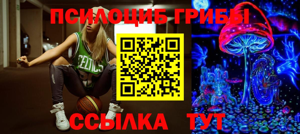 Галлюциногенные грибы GOLDEN TEACHER Апрелевка